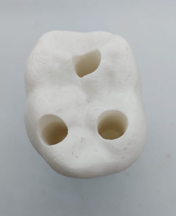 Soporte para Cepillos de Dientes - Imagen 2